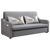 班龙沙发床D162张