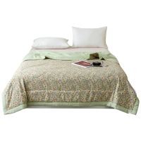 梓南北 抑菌印花夏被空调被 200*230cm 条