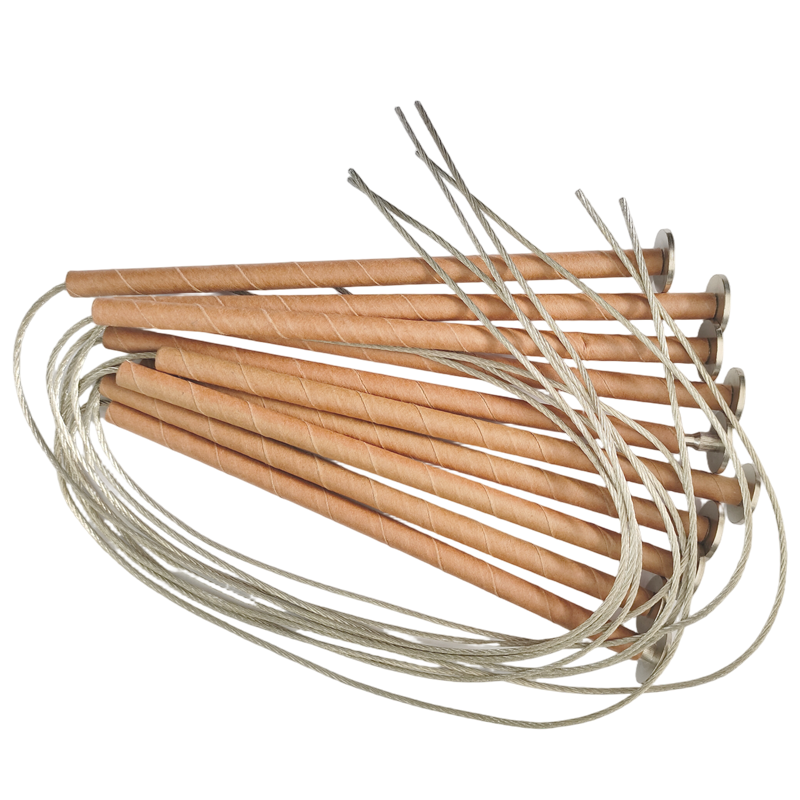 爱新优 纽扣式高压熔丝保险丝RS35-30A 根