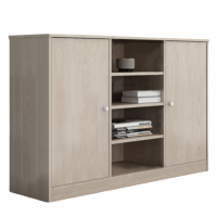 华立伟文件柜矮柜木质个