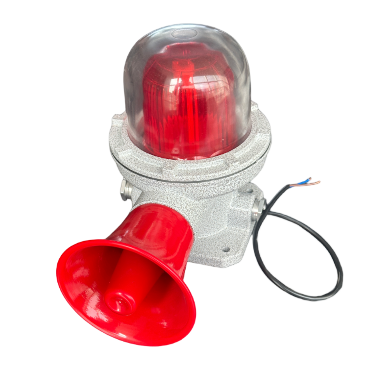 洛安斯 防爆声光报警器 BBJ-3 个