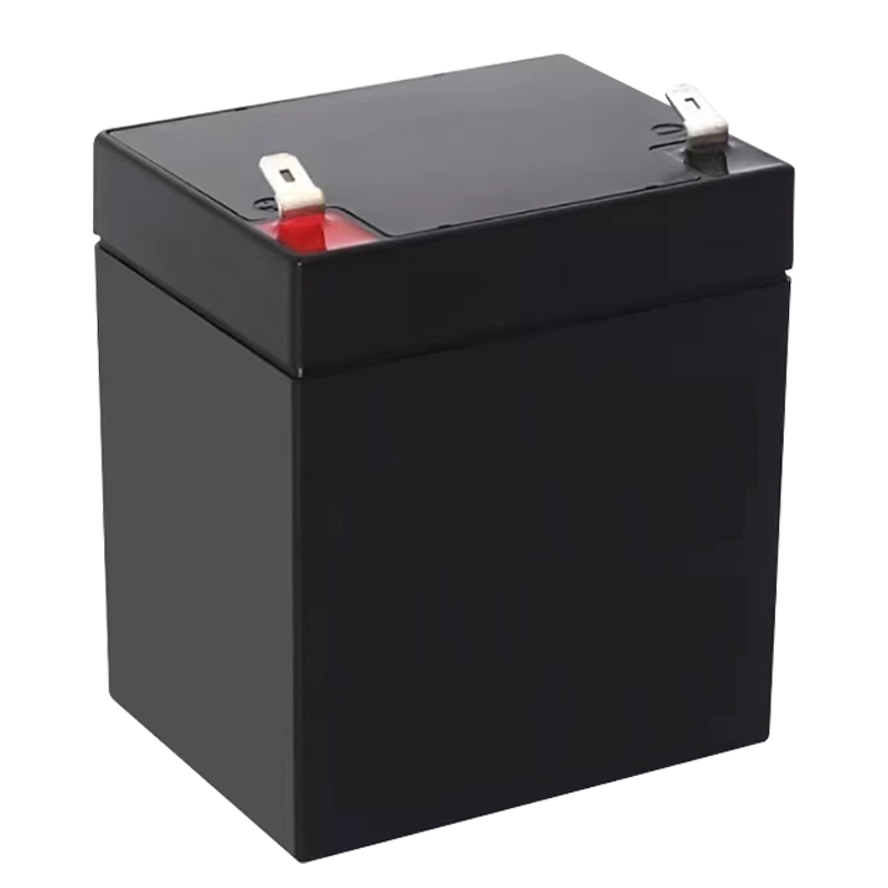 阀控式密封铅酸蓄电池 NP12-5Ah 1只