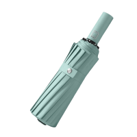 铁洋 16骨自动晴雨伞 三折TY-YS011 把