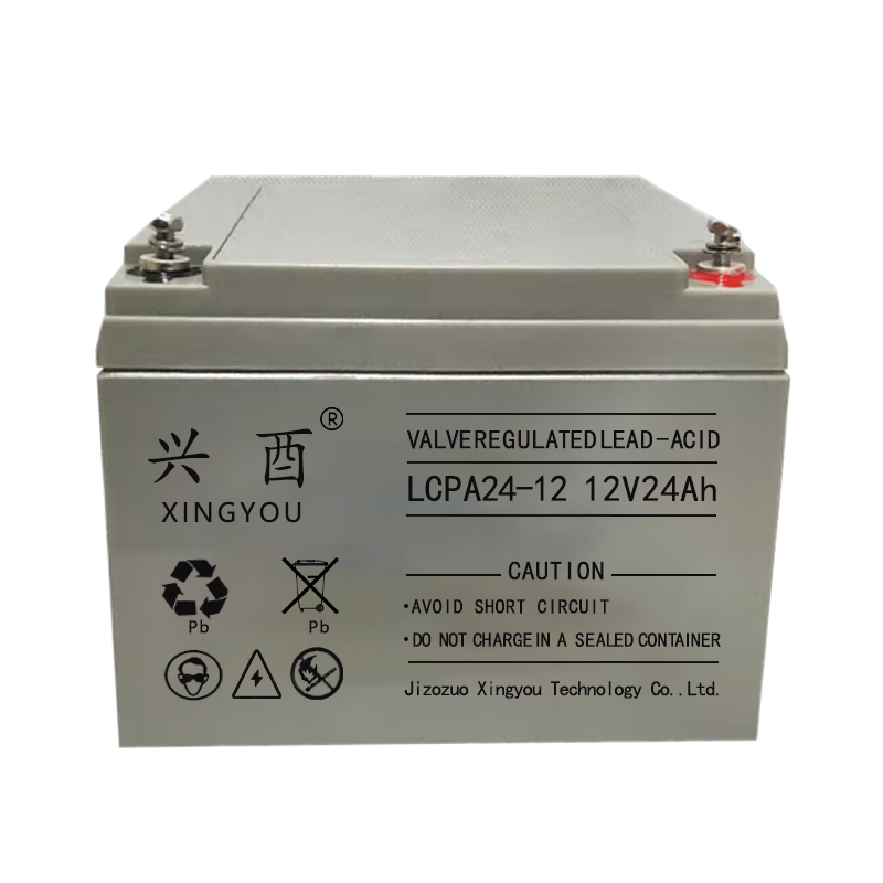 兴酉 UPS电池 12V24Ah 节