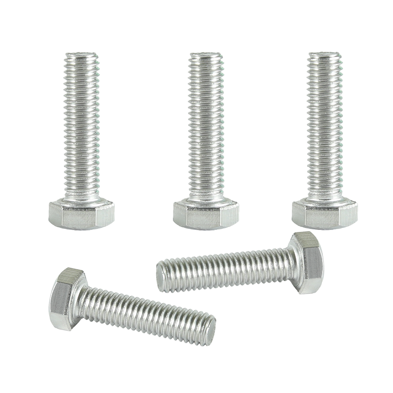 昡 不锈钢六角头螺栓 M10*20 个