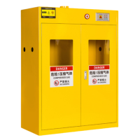 义尊 气瓶柜 MQ-2 台