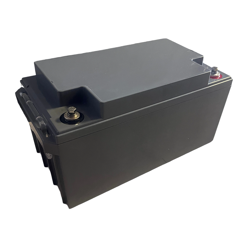 阀控式密封铅酸蓄电池 NP7-12 1只