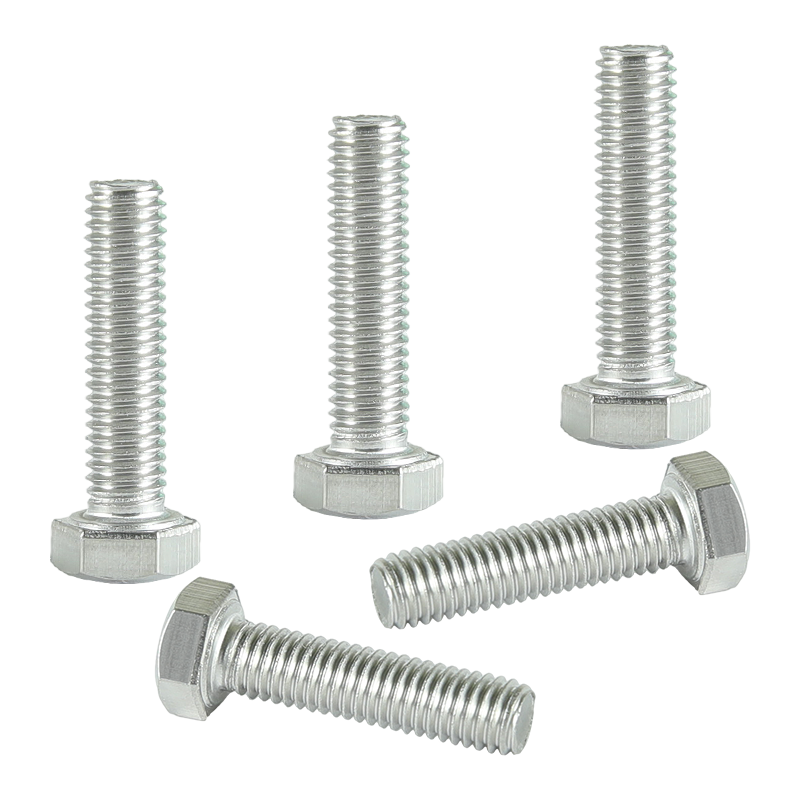 昡 不锈钢六角头螺栓 M10*65 个