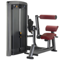 康力强LS519商用坐式背部伸展后压背肌练习肌肉专项训练局部型力量器械