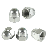 昡 不锈钢盖型螺母 M20 个