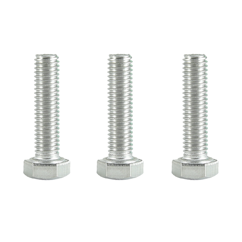 昡 不锈钢六角头螺栓 M10*100 个