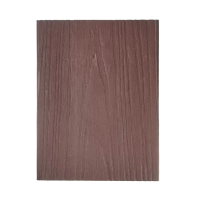 围一 塑木地板 二代单面共挤圆孔DM-148*23*4000MM 片