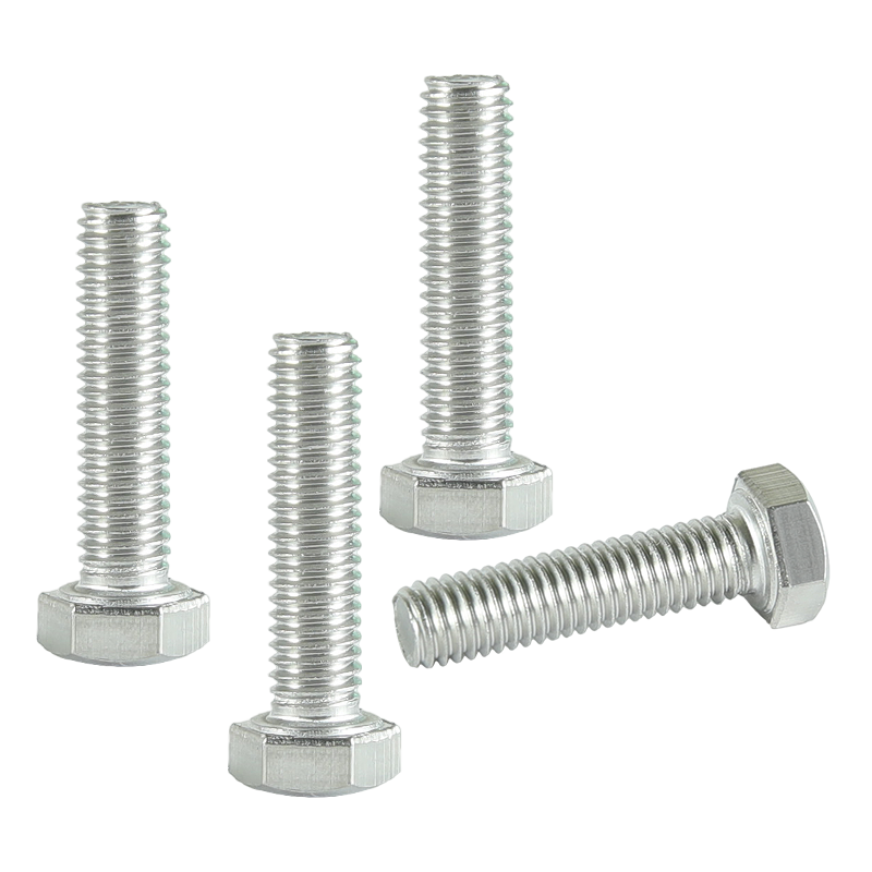 昡 不锈钢六角头螺栓 M10*60 个