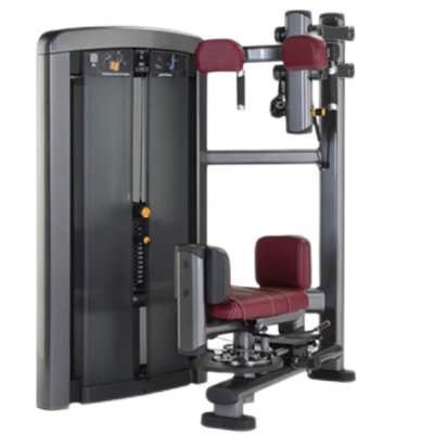 康力强LS521商用躯干转体腰腹转动扭腰旋转肌肉专项训练局部型力量器械