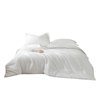 芯眠柔MR-34 200*230cm 5斤 1件/条 绒面细腻提花蚕丝棉被 被子(计价单位:条)白色