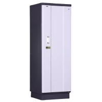 豫龙都防磁柜9抽台