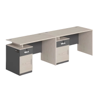 盛铁达 并排两人位办公桌2400*600*1100mm STD-XXBS02 张