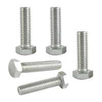 昡 不锈钢六角头螺栓 M12*55 个