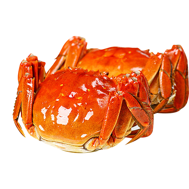 苏州精品大闸蟹鲜活六月黄螃蟹河蟹2两8只装公母随机大螃蟹鲜甜满黄直达到家死蟹包赔