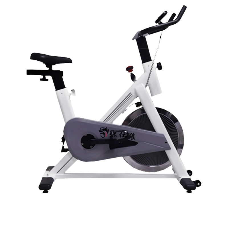 探仕狼动感单车家用运动器材健身车室内脚踏自行车P0330