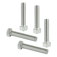 昡 不锈钢六角头螺栓 M20*190 个