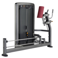 康力强LS518商用立式大腿伸展后蹬臀部练习肌肉专项训练局部型力量器械