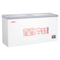 星星(XINGX)SD/SC-1030BE商用冰柜展示柜冰箱单温平移玻璃门雪糕柜冷藏冷冻转换冷柜超市岛柜冷冻柜大容量