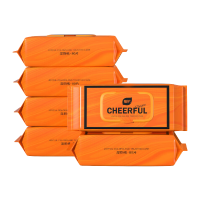 植护 悦色橙湿厕纸便携装 8片/包 *10包ZH305245N10