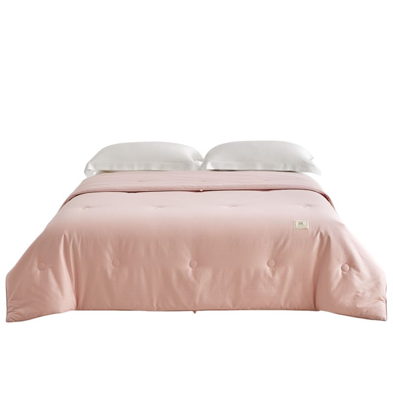 伊伊爱 全棉提花大豆邂逅系列抗菌春秋被