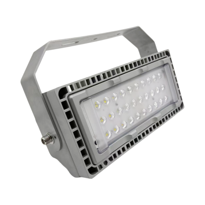 驰洛科 CLTG9280-100 220V 100W IP65 投光灯 (计价单位:个) 银灰色