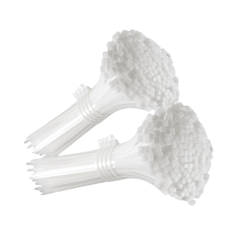 安盟臣AMC2069尼龙扎带8*200mm 白色 100根/包