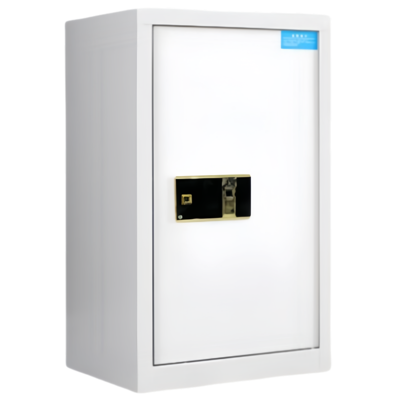 依韵珂铁皮保密柜55*42*90cm台