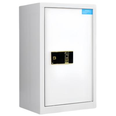 依韵珂铁皮保密柜55*42*90cm台