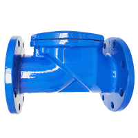 兴酉 法兰橡胶瓣止回阀 DN80 个