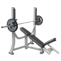 康力强FW726商用卧推架举重杠铃床健身房推胸多功能健身器材举重架训练器材