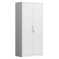 智叶舟文件柜通门5层850*390*1800mm个