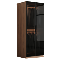 豫龙都 衣柜 两门 台