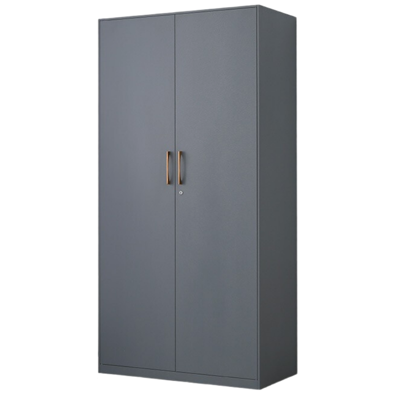 克菲勒铁皮衣柜阳台柜收纳柜杂物柜带现代简约卧室大容量玄关储物柜带锁内部T型皮纹2000*1000*500