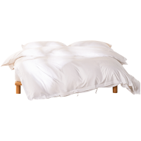 弗切尔珀榕 碳素磨毛白色四件套1.5米床(适合200*230被芯)