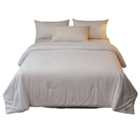 伊洛源 蚕丝被夏被