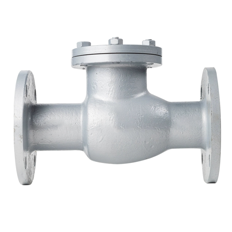 兴酉 铸钢法兰止回阀 DN40 个