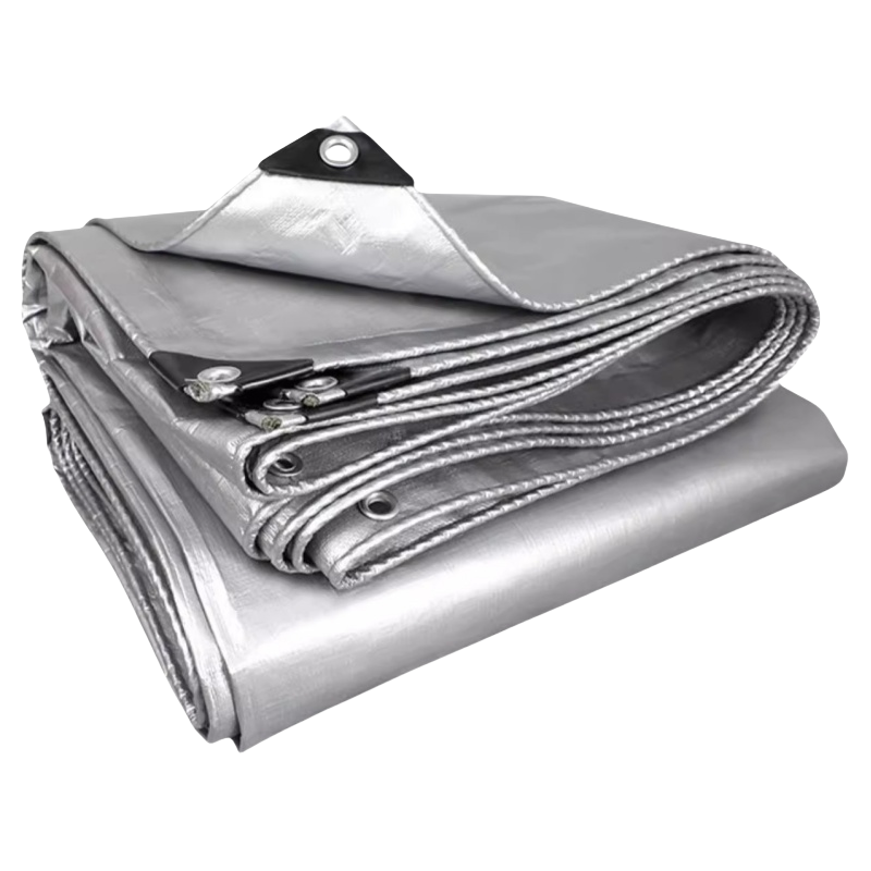 豫龙都 防雨布 2*3m 张