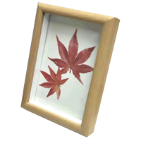 冀宏发 相框 桌摆