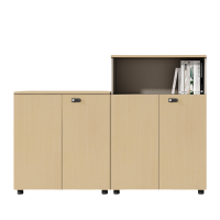 铭思达资料储物柜组合2套