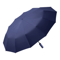 淇悠玮 60骨自动晴雨伞 QRY69 把