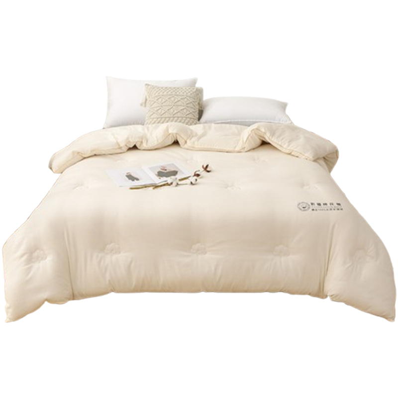 昕蓝梦 水洗棉长绒棉棉花被4斤 150*200cm 条