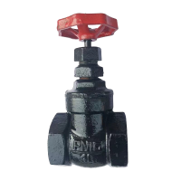 伟鹏双兴 铸铁丝扣闸阀 DN20(6分) 个