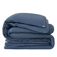 蕃蒂加厚冬被200*230CM条