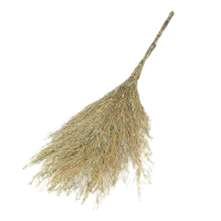 铁盛帮 竹扫把竹制款 把