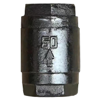 伟鹏双兴 铸铁丝扣立式止回阀 DN20(6分) 个